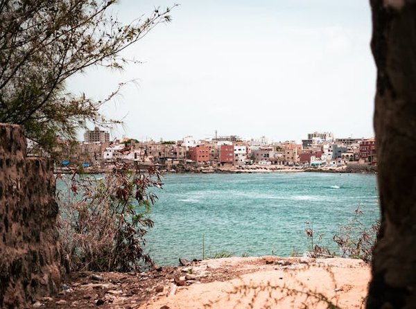 Quels sont les meilleurs conseils pour une croisière sur le fleuve Sénégal?